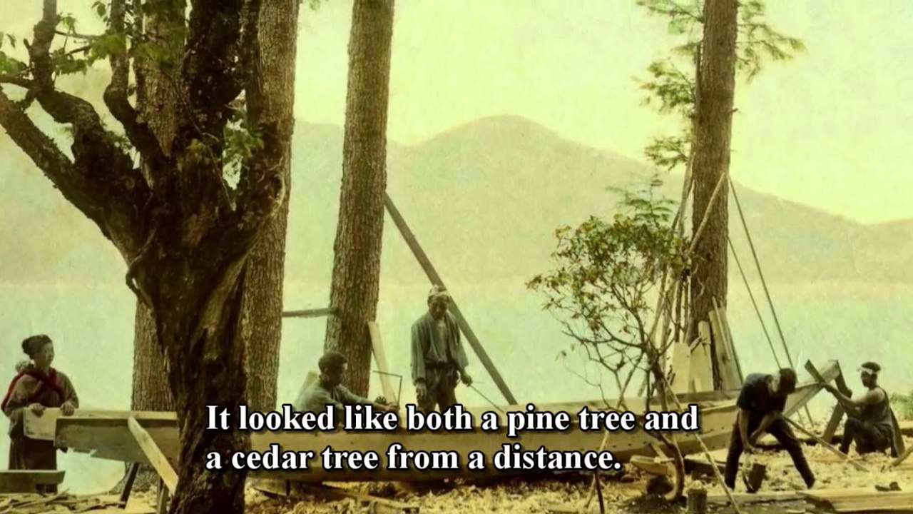The Japan you don't know. The “Cedars of Strife” that Leave Legends of Warlords Now