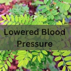 Green color facts on health