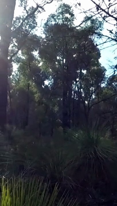 Cal To Col Eleven