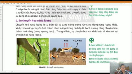 Audio_Sinh 10 Bài 13 Chuyển hóa vật chất và năng lượng trong tế bào