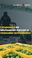 Limoneros de Michoacán llaman a reanudar actividades