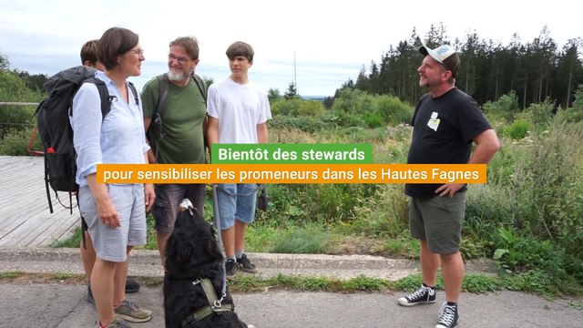 Bientôt des stewards pour sensibiliser les promeneurs dans les Hautes Fagnes