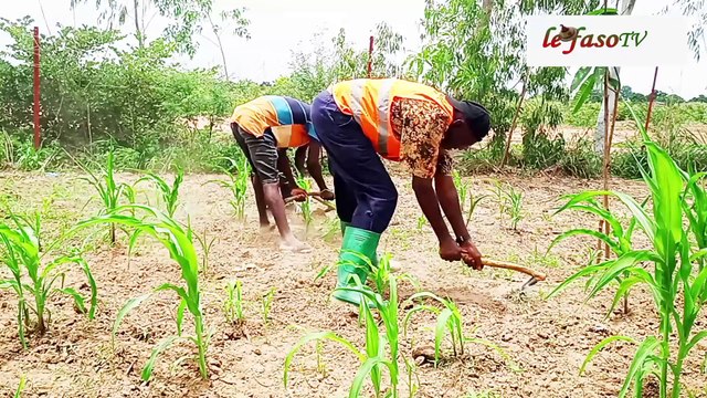Vie de retraité : Jean Marie Mantou, l’heureux sexagénaire devenu fermier après 35 ans dans la fonction publique