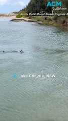 Shark spotted in Lake Conjola
