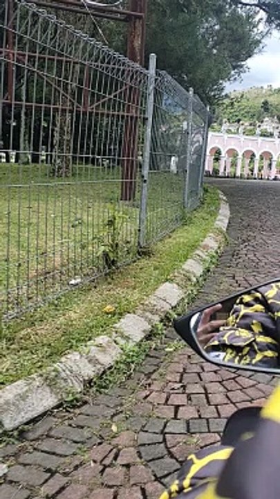 kota bunga