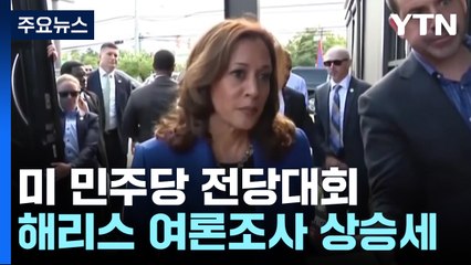 美 민주 "한국 수호" 정책 채택...트럼프, 전기차 혜택 폐지 시사 / YTN
