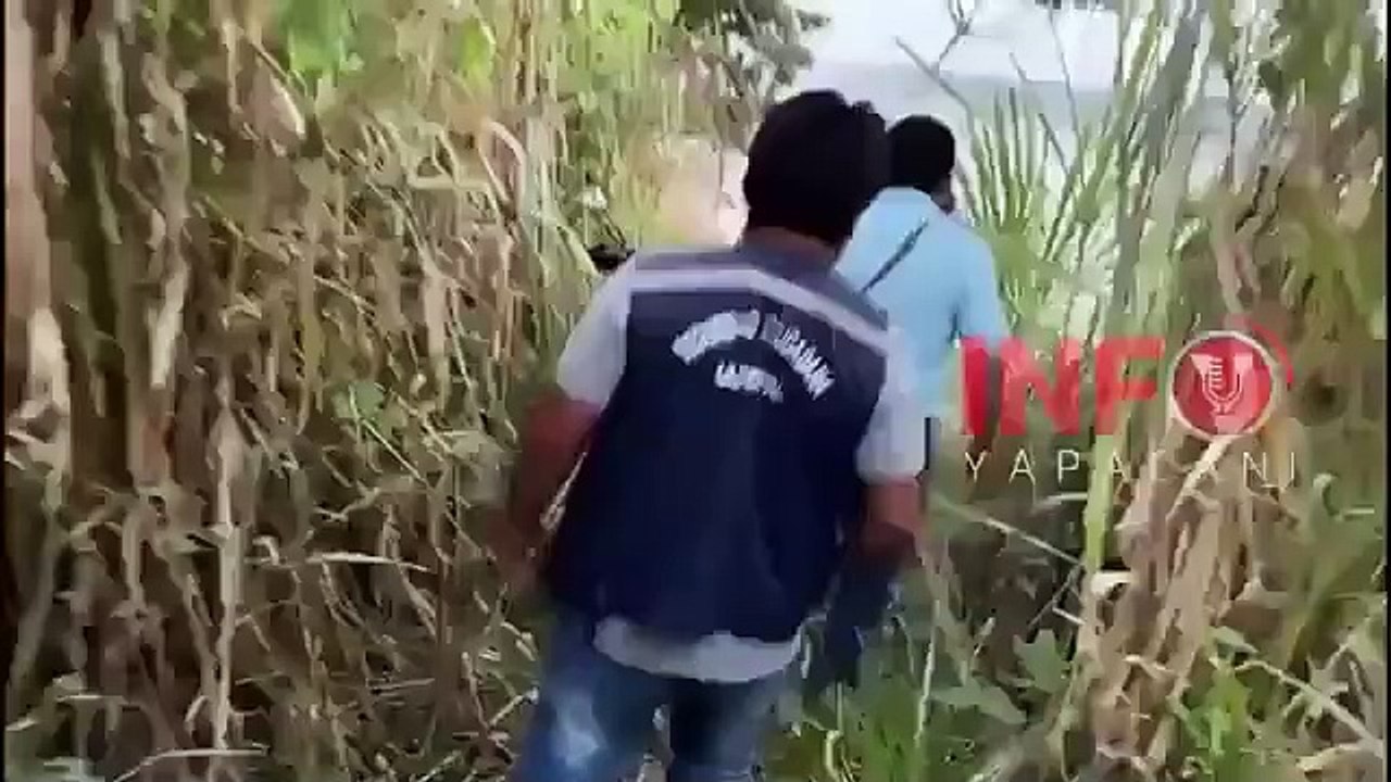 bufeo en  yapacani