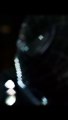 Spiderman black siut edit | spider man 3 spiderman  tobemaguire blacksiut