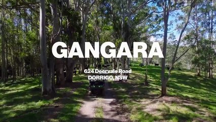Gangara, Dorrigo, NSW | August 20, 2024 | Farmonline