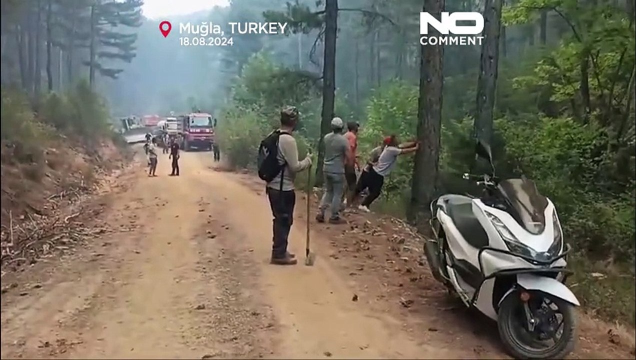 حرائق تركيا تتسع.. اشتعال الغابات يصل ولاية موغلا