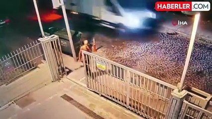 İstanbul'da sokak köpeği saldırısı sonucu zihinsel engelli adam hayatını kaybetti