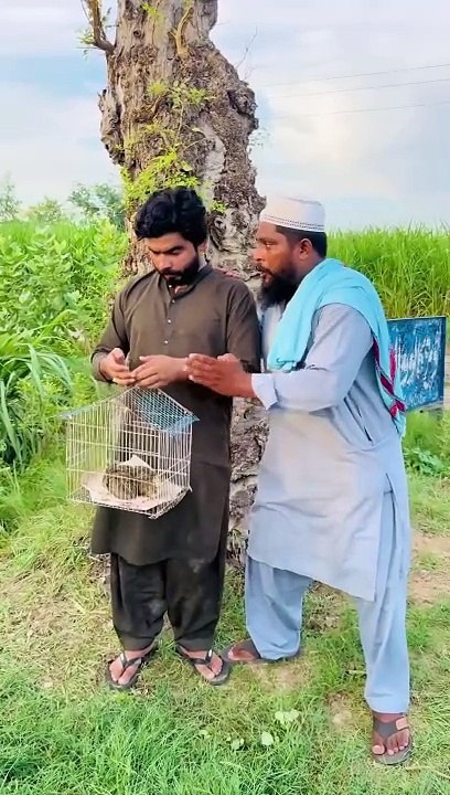 Patwari-Sub-GIft-Dana-Manga Para GYa-KHazir Omer Funny VIdeo