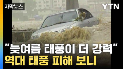 [자막뉴스] "늦여름 태풍이 더 강력"...역대 태풍 피해 보니 / YTN