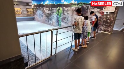 Amasya'da Tek Antik Mozaik: Üstünde Elma Ağacı