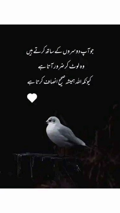 کیوں کہ اللہ صحیح فیصلہ کرتا ہے ❣️#trending#viral#shorts#islamic#follow#foryou#dailymotion#share
