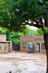 Download Video: Village life in Punjab | apna sohna punjab wasda ray | pind de sada g Zindagi