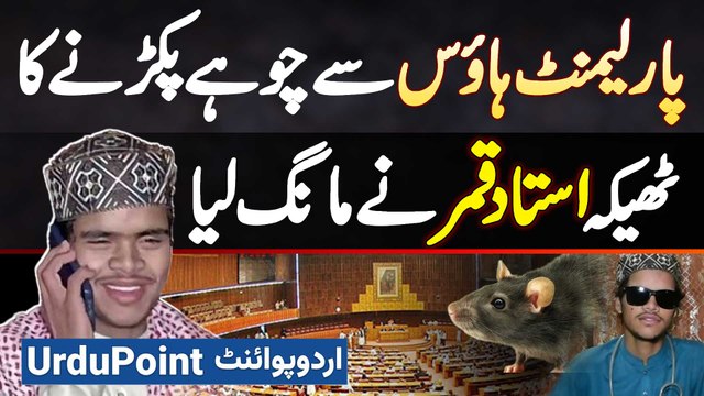 Ustad Qamar Chuha Wala Ne Parliament House Se Chuhe Pakarne Ka Contract Mang Liya