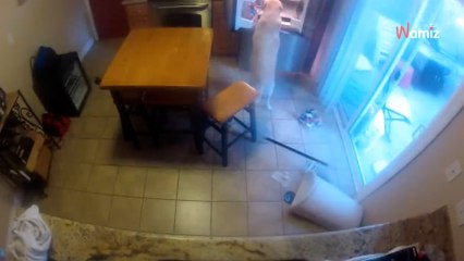 Il filme son chien pendant son absence, ce qu’il découvre le fait mourir de rire (Vidéo)