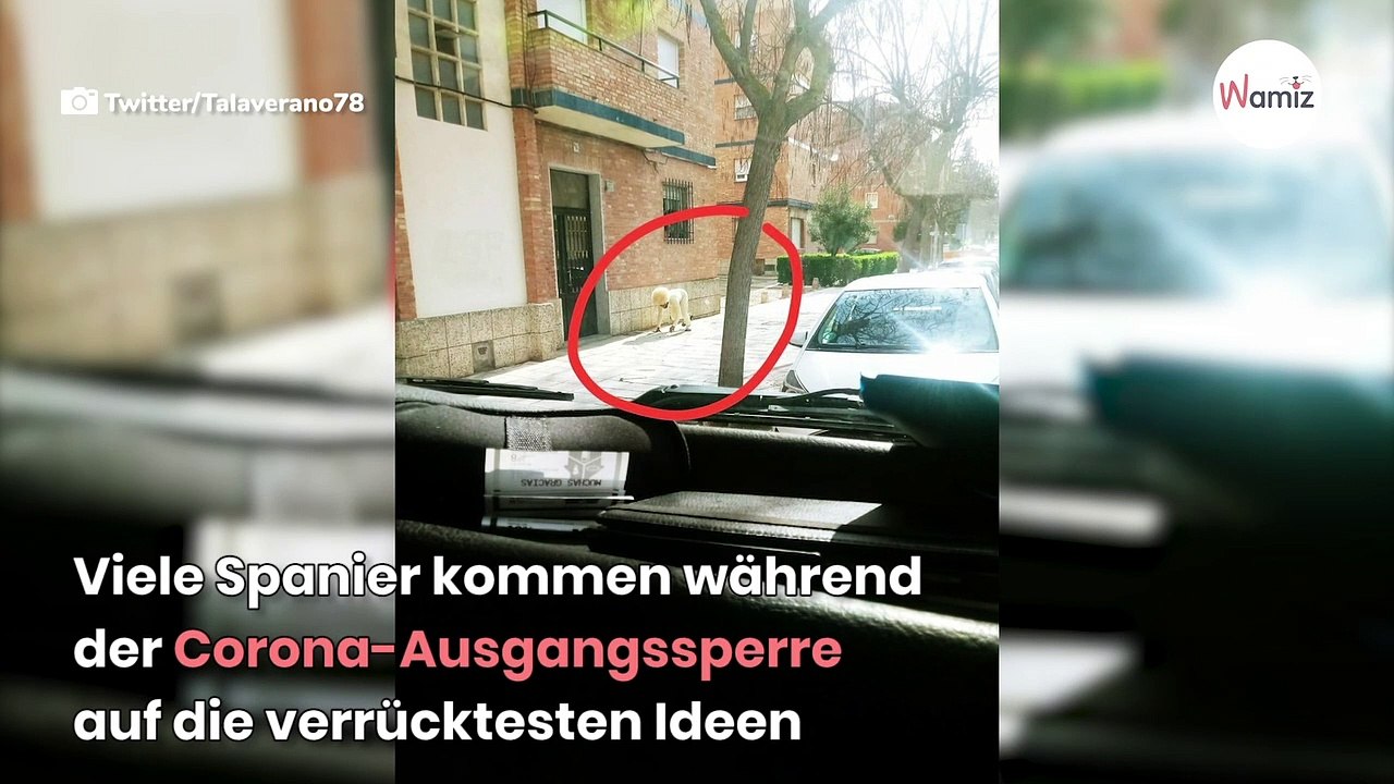 Mann verkleidet sich als Hund, geht spazieren, doch der Spaß geht nach hinten los (Video)