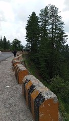 Lush Green Sight..... #NathiaGali #Murree #Pakistan