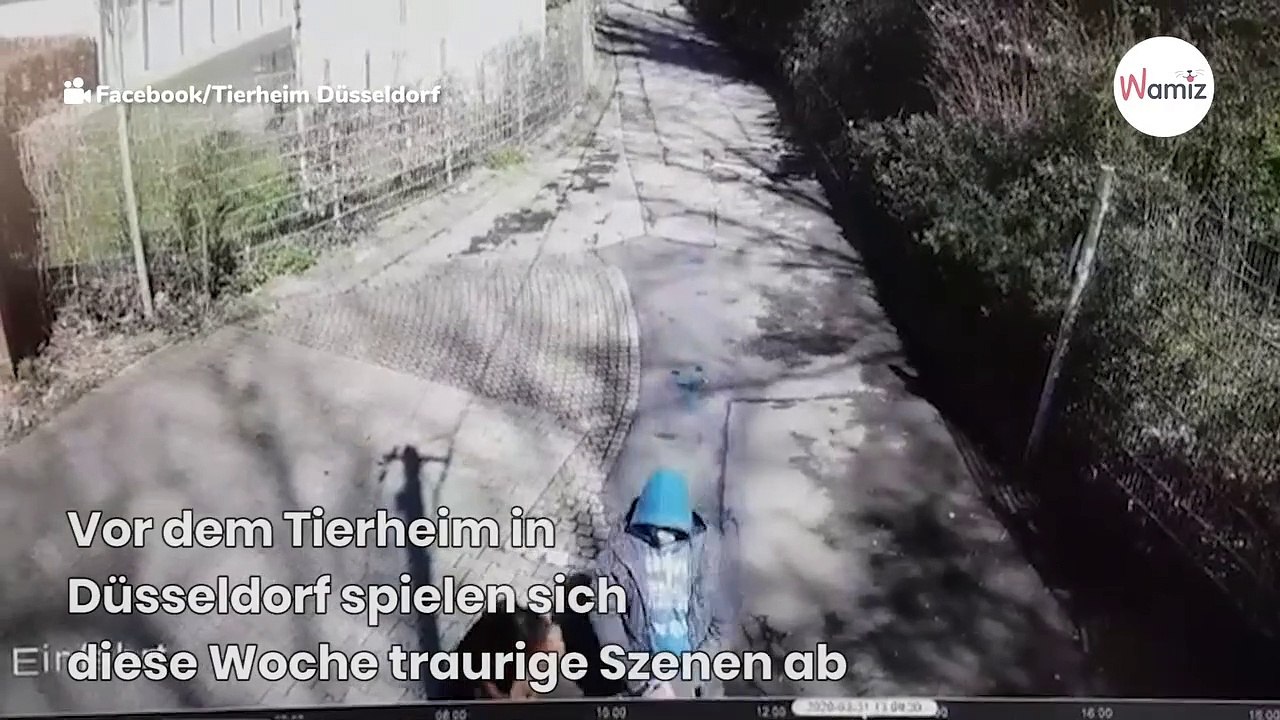 NRW: Kamera filmt Mann mit Schäferhund, Video bricht allen das Herz