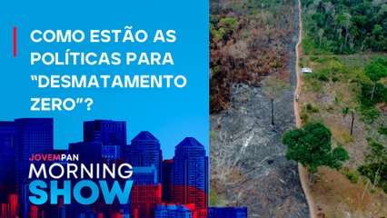 Brasil chega a 33% de PERDA de VEGETAÇÃO NATIVA; SAIBA MAIS