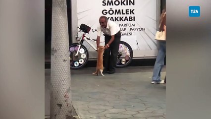 Sakarya'da kedi ve vatandaşın dansı izleyenleri gülümsetti