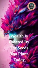 Wealth Is Created By The Seeds You Plant Today