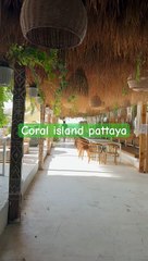 Coral Island Pattaya (2024)