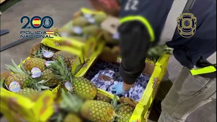ext-decomiso-en-cargamento-de-piña-en-españa-210824