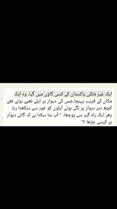 Aik gher mulki aur cow,funny,jokes,lateefe,mazahya, #shorts #status #hindi #urdu