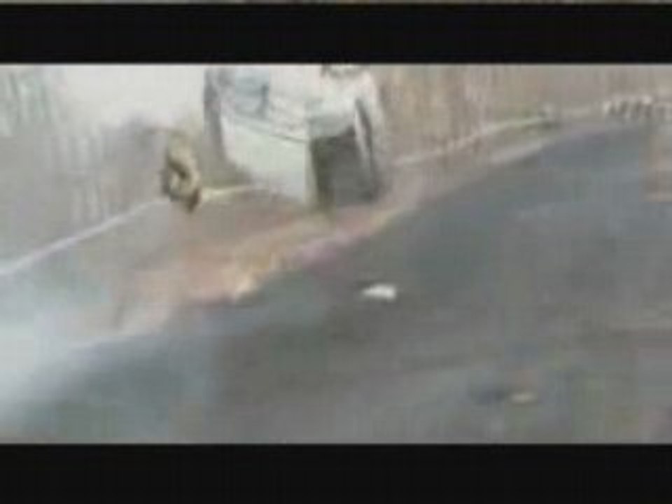 Rallye