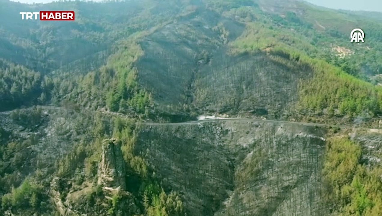 3 ildeki orman yangınlarında zarar gören alanlar havadan görüntülendi