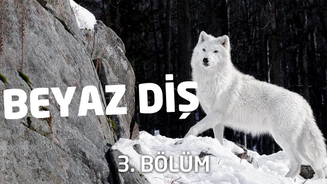 Beyaz Diş | Sesli Kitap | 3. Bölüm