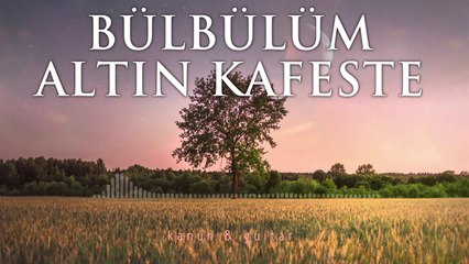 BÜLBÜLÜM ALTIN KAFESTE ♫ Fon Müziği (Kanun & Gitar)
