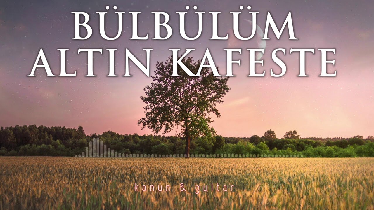 BÜLBÜLÜM ALTIN KAFESTE ♫ Fon Müziği (Kanun & Gitar)