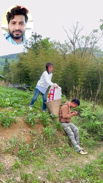 Funny Videos