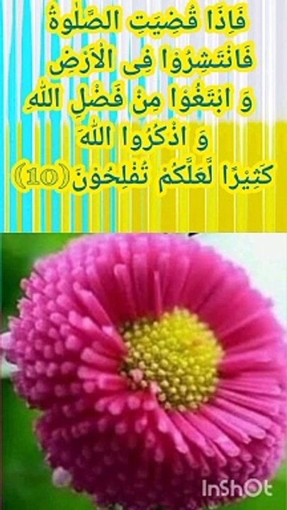جب نماز مکمل ھو تو اللّٰہ تعالیٰ کا فضل تلاش کرو