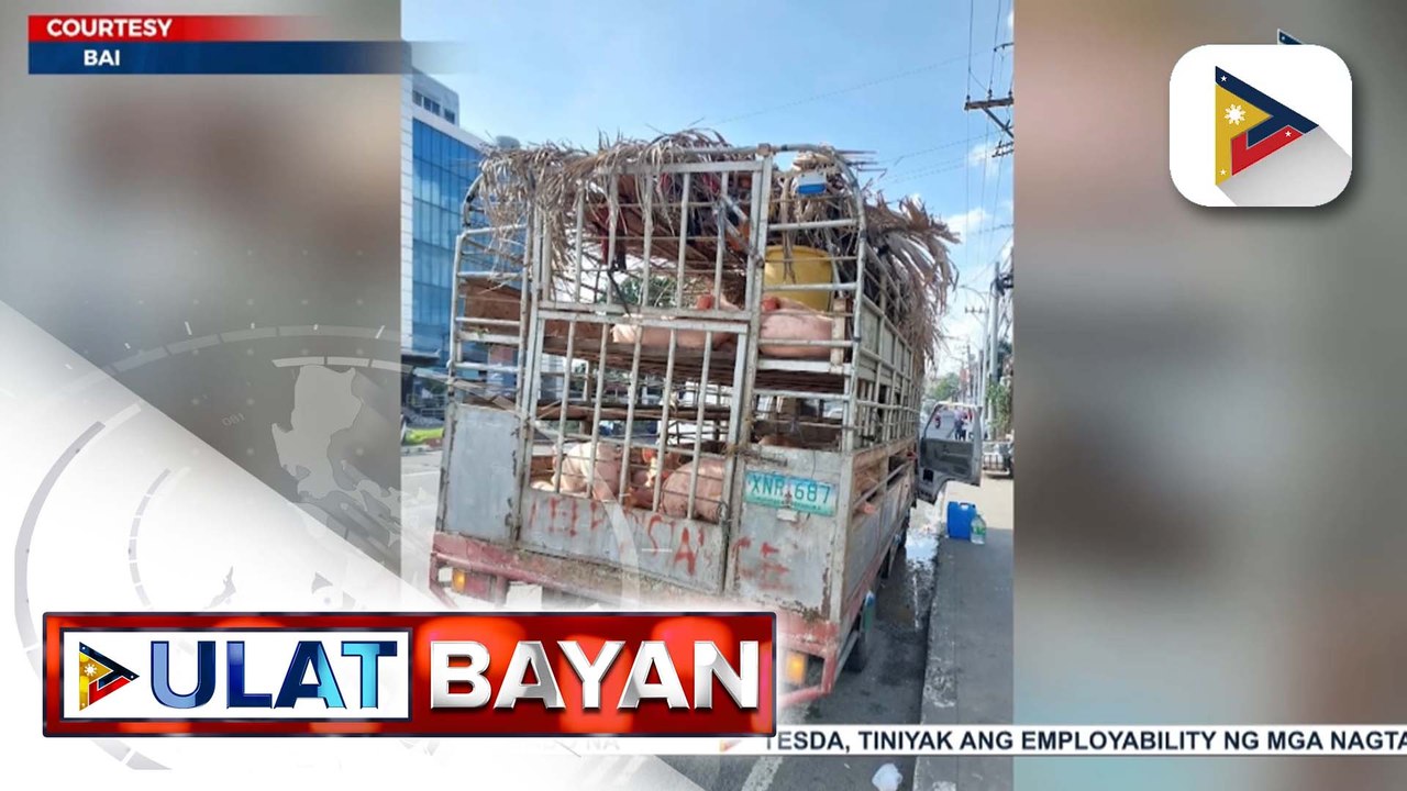 D.A., sinimulan na ang orientation ng bakuna kontra ASF sa Lobo, Batangas