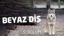 Beyaz Diş | Sesli Kitap | 5. (SON) Bölüm