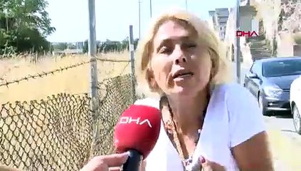 1 kişinin öldüğü saldırı sonrası sokak köpekleri toplanıyor