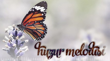 Huzur Melodisi | Fon Müziği ♫ ᴴᴰ