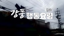 [영상] 태풍 행동요령 (강풍) / YTN