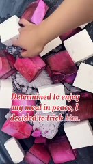 "Hilarious Life Lessons | Laugh and Relax Your Stress Away!"