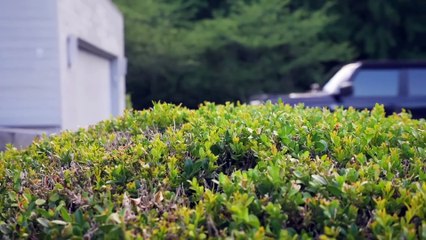 OUR GIRLFRIENDS PRANK US FOR 24 HOURS