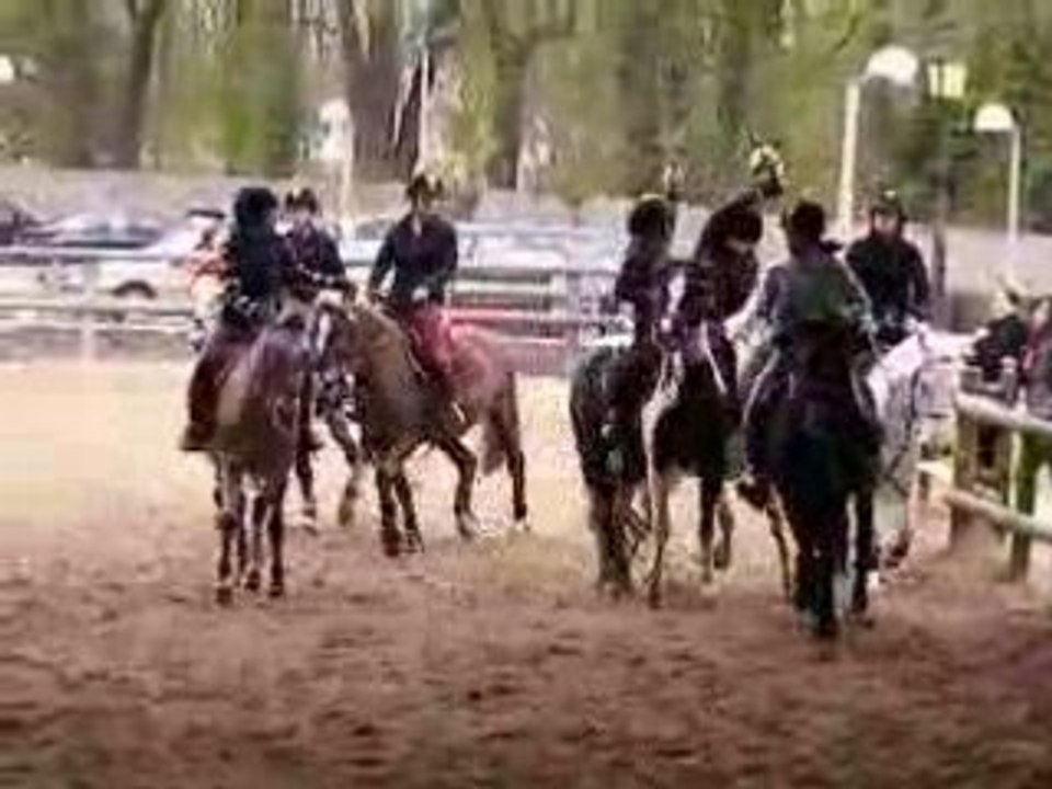 Horse Ball