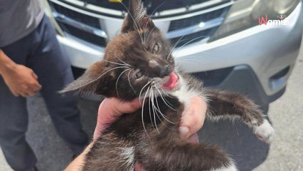 Un policier s’arrête dans un restaurant : un mouvement dans une voiture lui fait l’effet d’un électrochoc