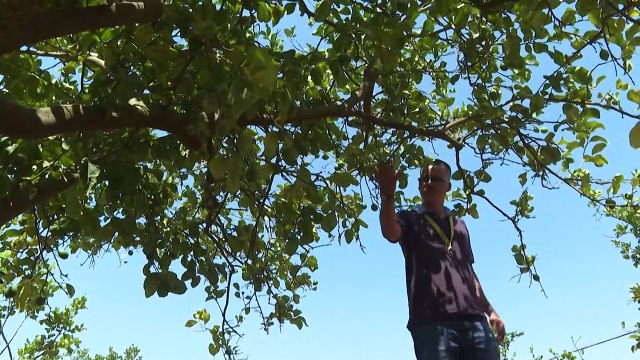 Drought-hit Sicily dumps much-needed rainwater into sea