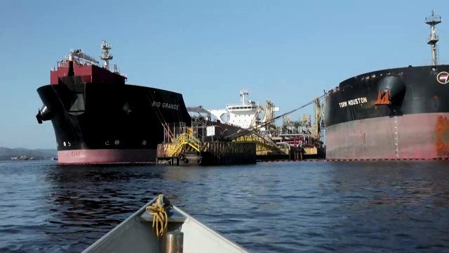 Pescadores do Rio de Janeiro usam aplicativo para denunciar crimes ambientais