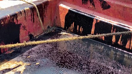 Fishermen clean up oil spill on Venezuela beach